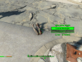 Fallout4 2015-11-21 00-40-06-10.png